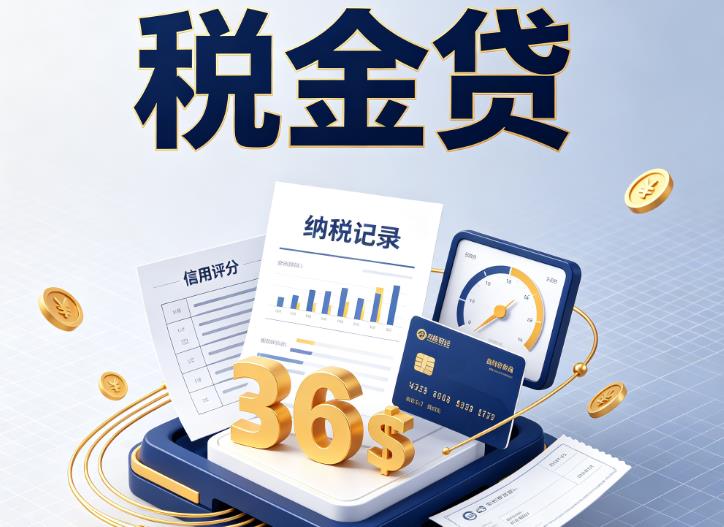 宁波北仑区企业税贷|宁波北仑区企业设备回租|宁波北仑区税贷过桥